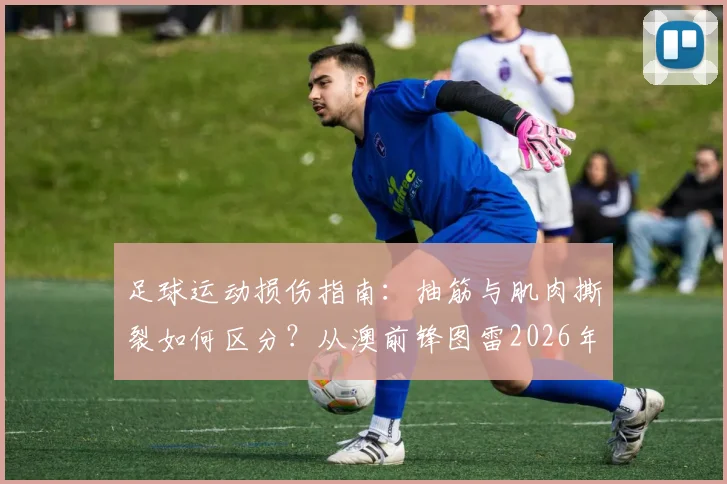 足球运动损伤指南:抽筋与肌肉撕裂如何区分?从澳前锋图雷2026年伤情说起,附应急处理与恢复时间